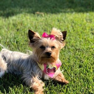 Meet your Posher, Elizabeth